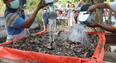 Kisah Inspiratif I Gede Robi Supriatna Mengubah Sampah Menjadi Pupuk - GRB Project