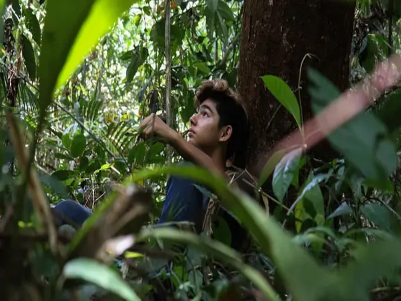 Pahlawan Alam Andrew Kalaweit, Kisah Inspratif Dari Penjaga Hutan Kalimantan
