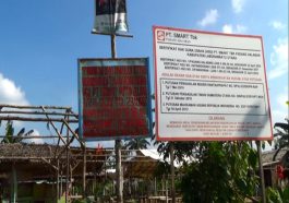 Penggusuran di Padang Halaban: PT. SMART Terindikasi Langgar HAM