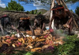 Budaya Menunu Batu Papua: Tradisi Ritual Bakar Batu Yang Penuh Filosofi Makna Adat