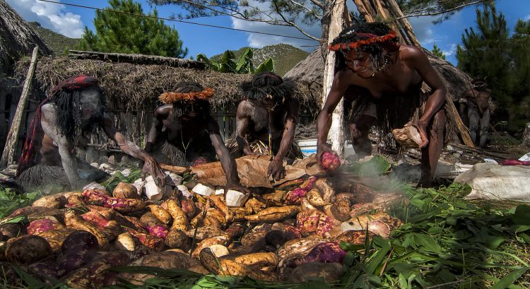 Budaya Menunu Batu Papua: Tradisi Ritual Bakar Batu Yang Penuh Filosofi Makna Adat