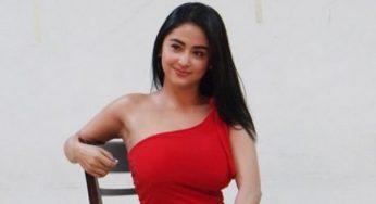 Hadiah Spesial dari Penggemar, Dewi Perssik Terharu Dapat Gaun Cantik