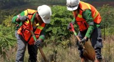 Dampak regulasi lingkungan