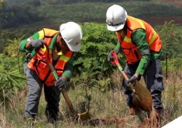 Dampak regulasi lingkungan