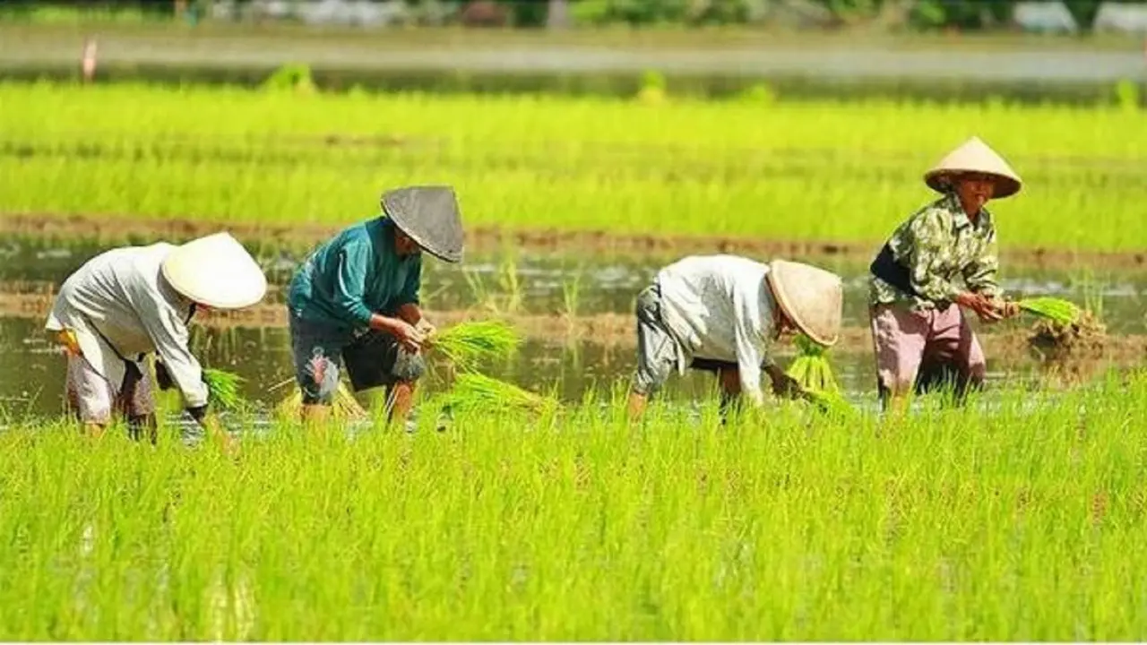 Digitalisasi Pertanian